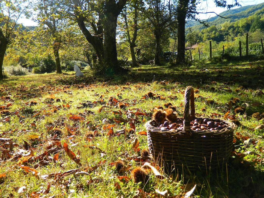 Agriturismo Casa Turchetti Comano  Eksteriør billede